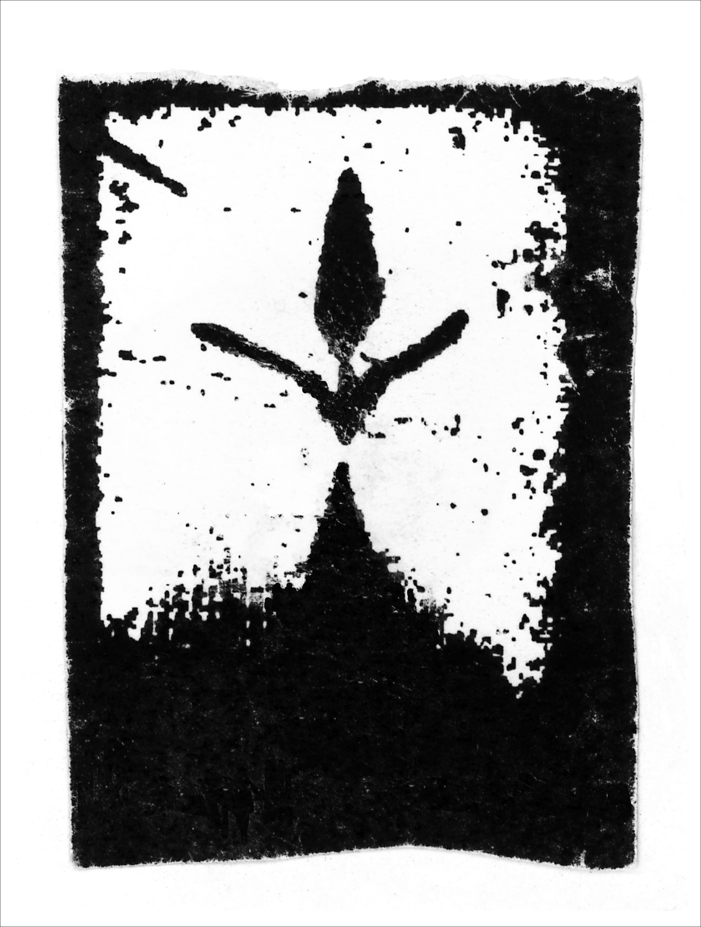 Print of BS14