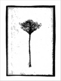 Print of BS18