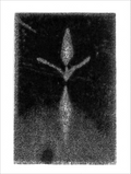 Print of BS20