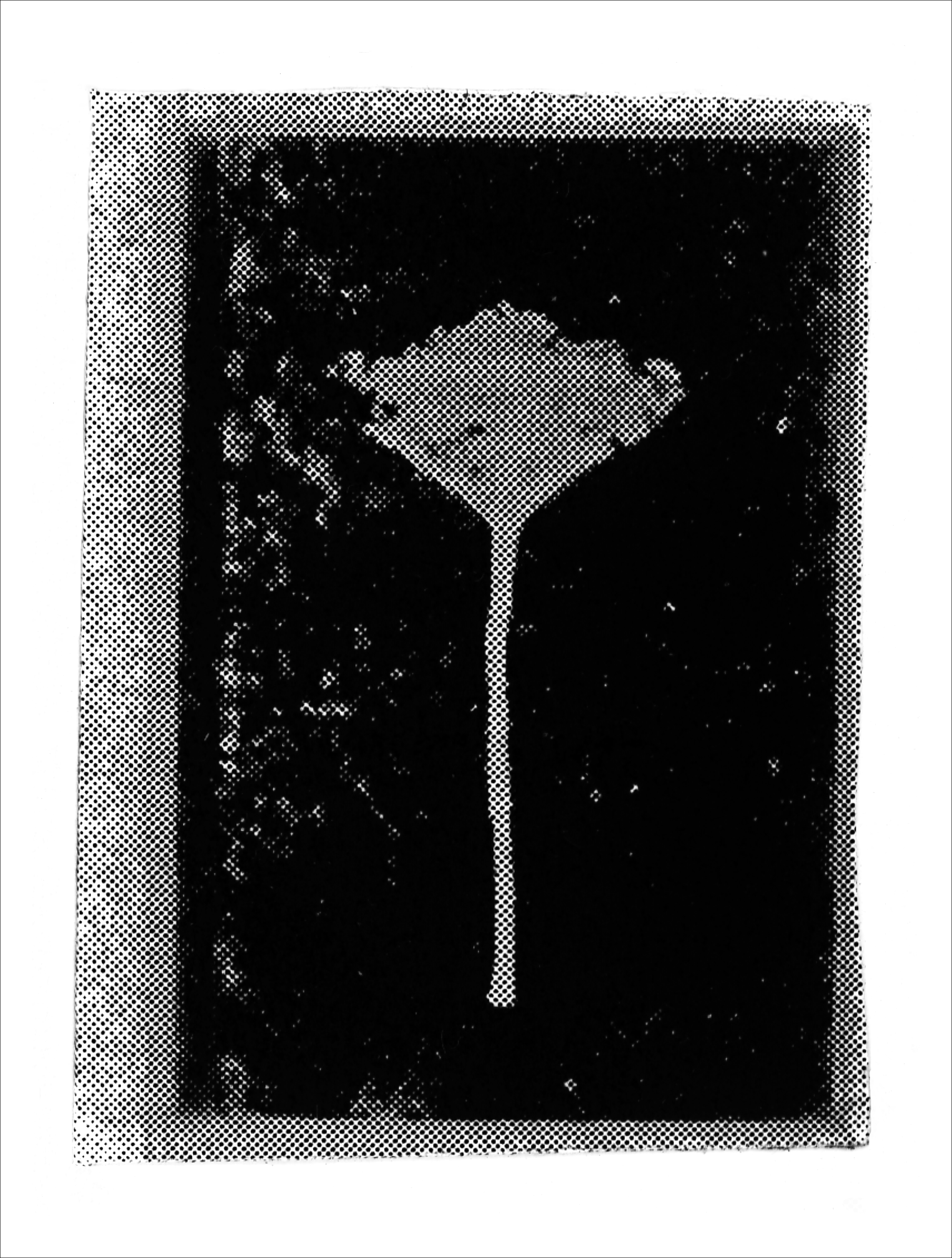 Print of BS26
