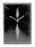 Print of BS28