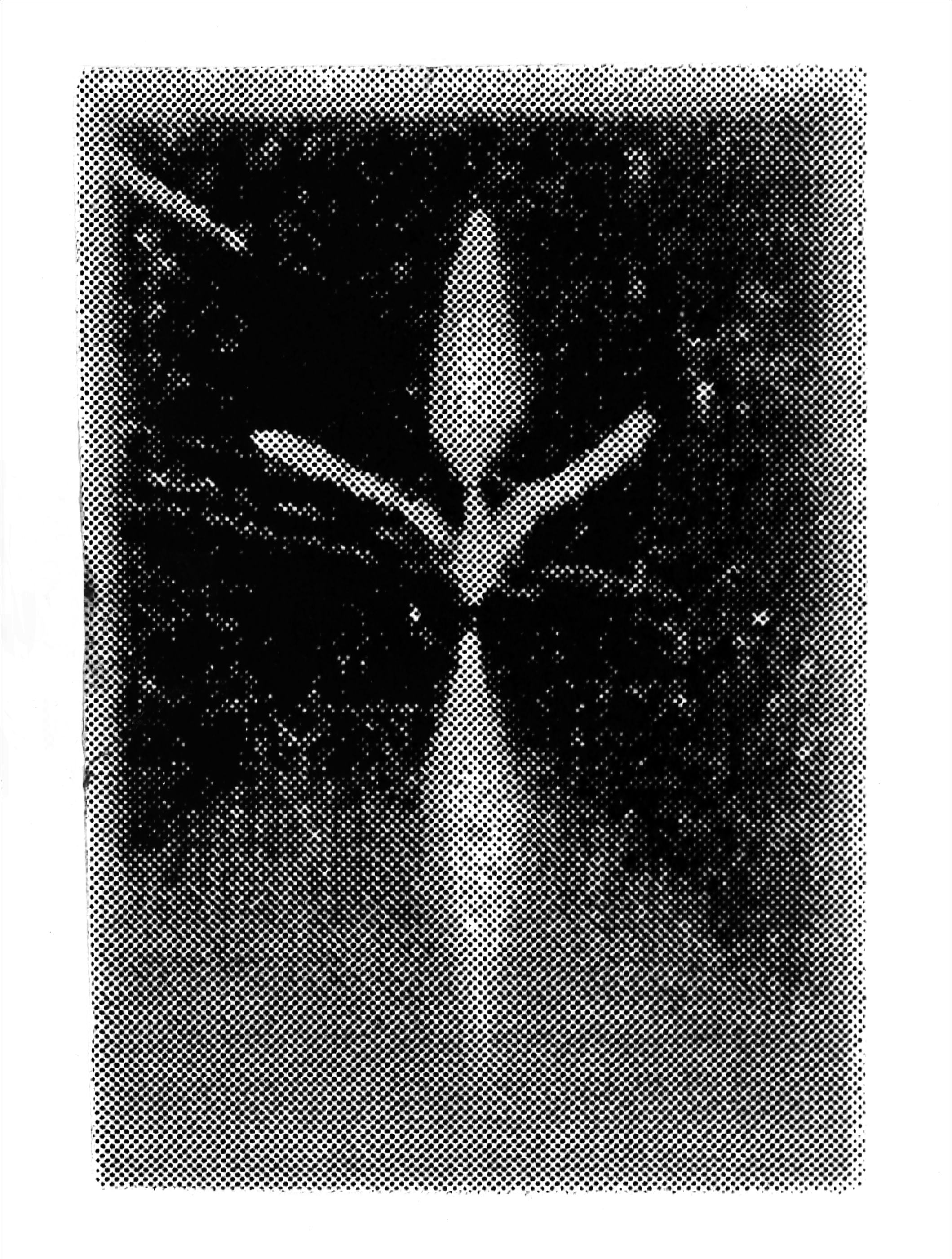 Print of BS28