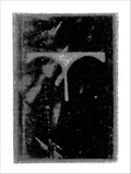Print of BS30