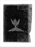 Print of BS31