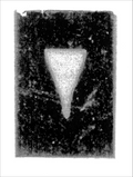 Print of BS35