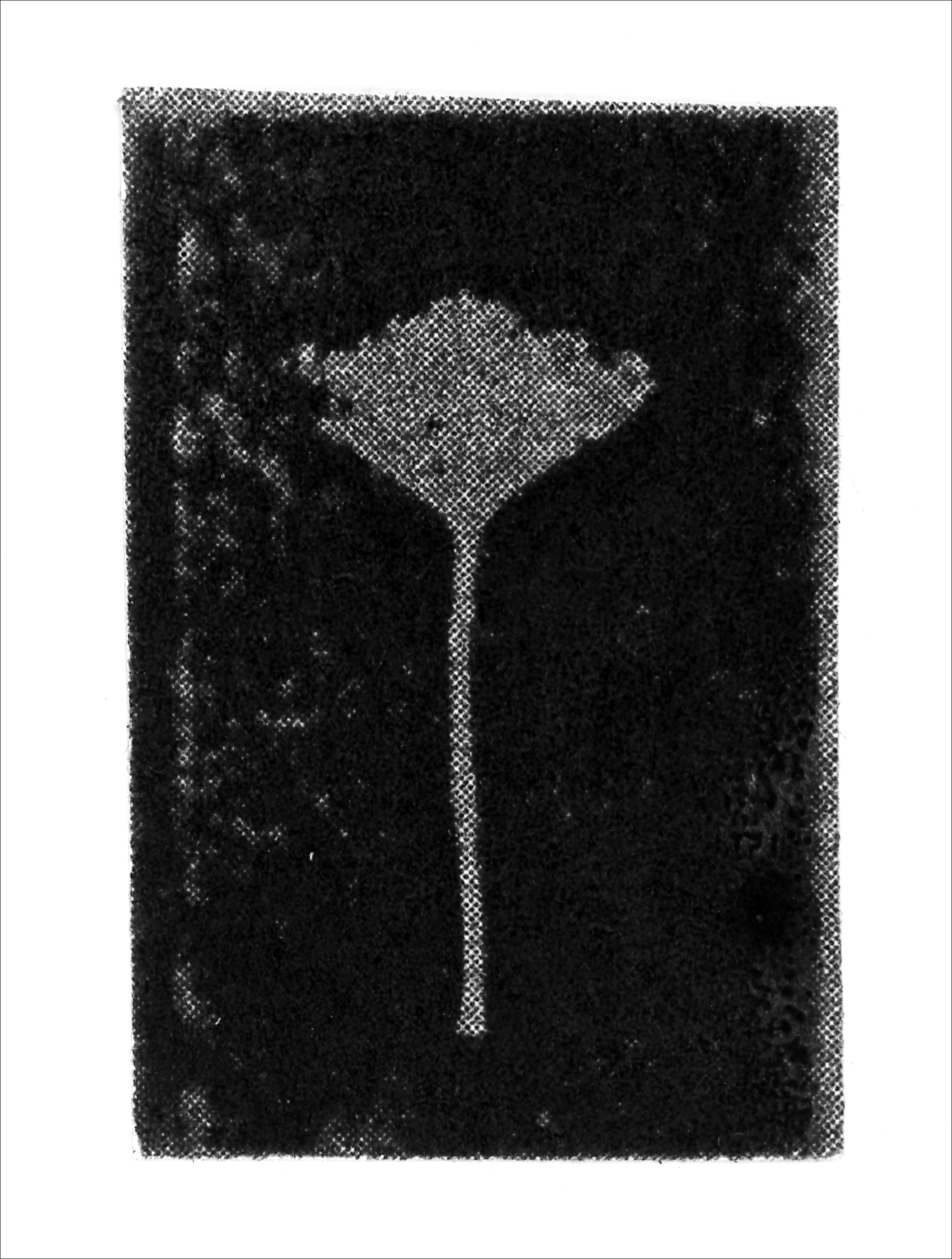 Print of BS36
