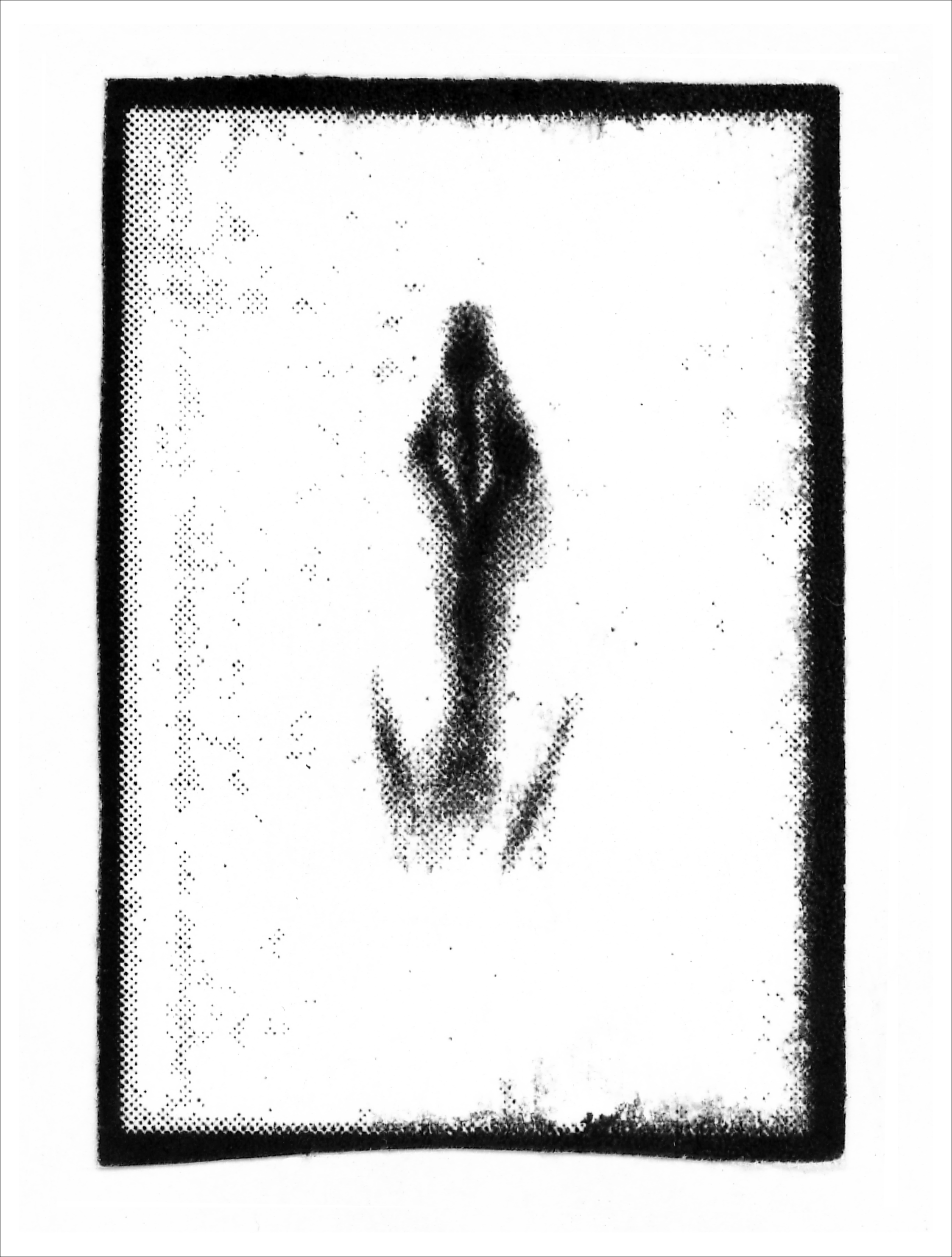 Print of BS37