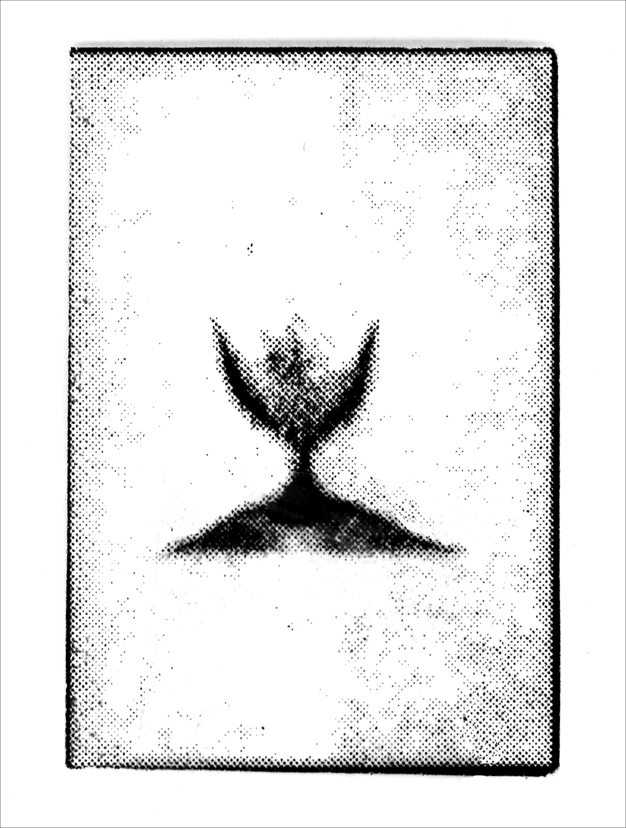 Print of BS39
