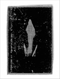 Print of BS42
