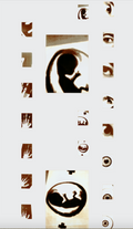 Print of Rebirthing Proof