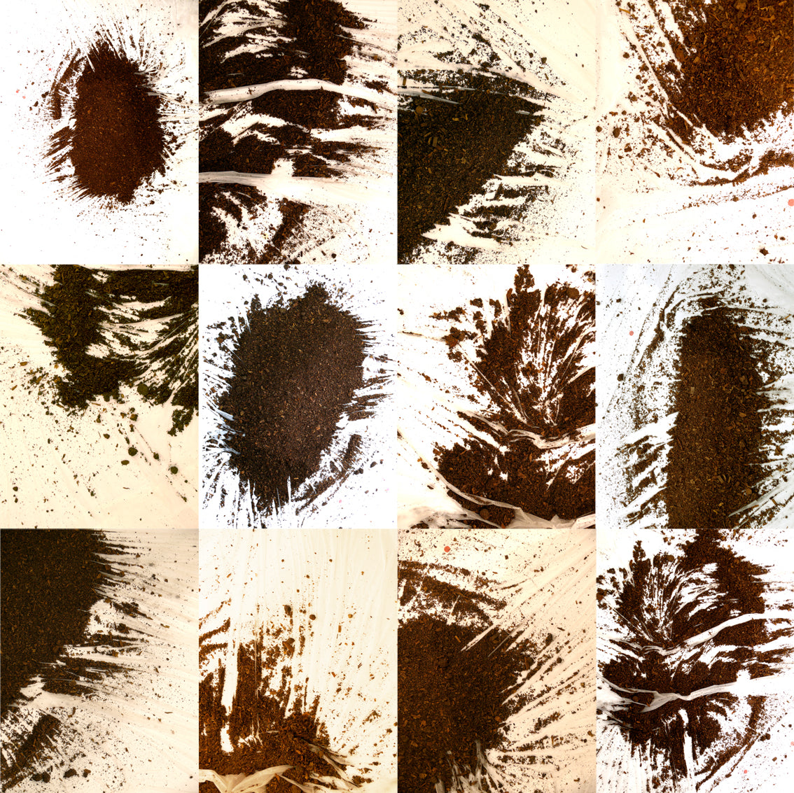 Print of Terre