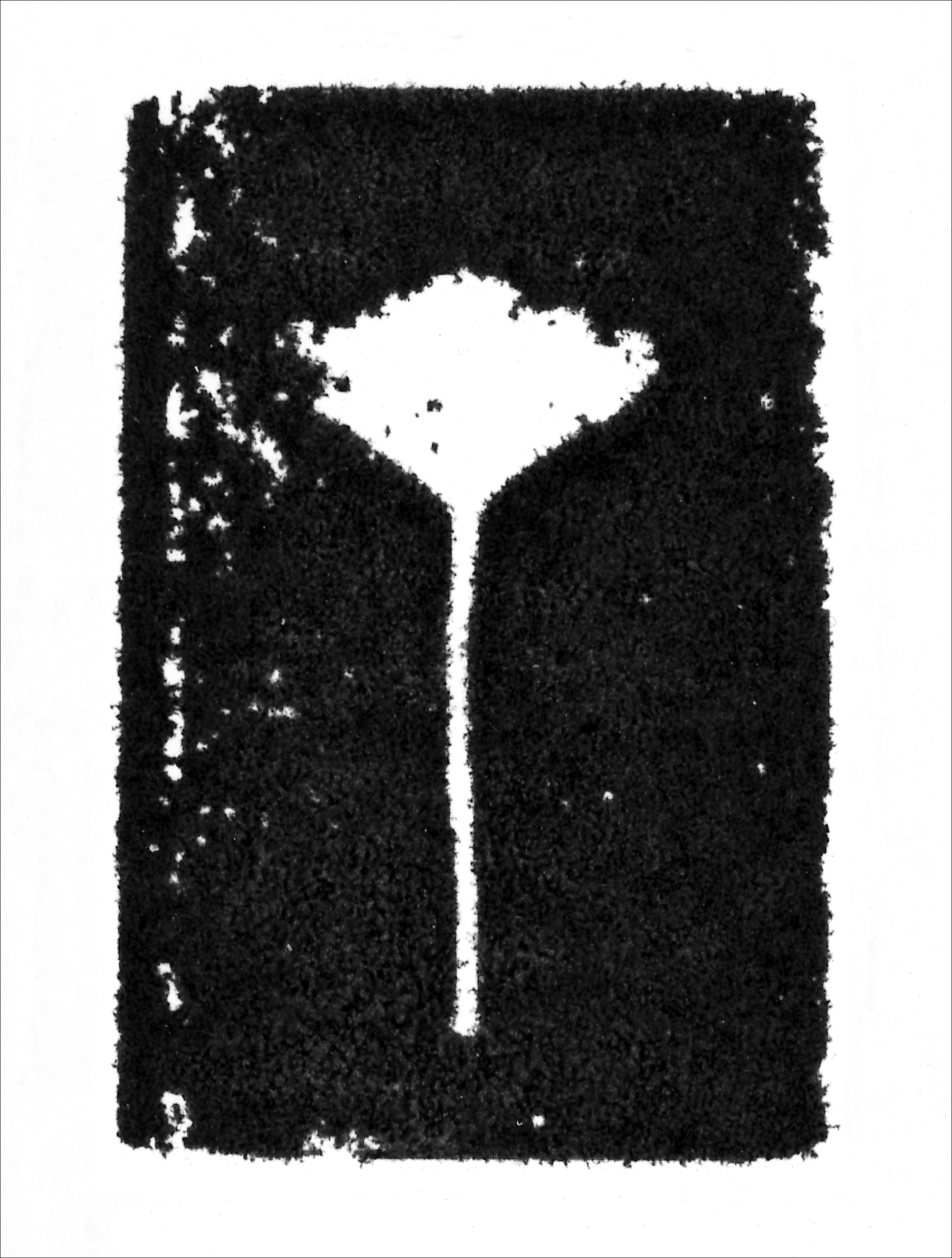 Print of BS2
